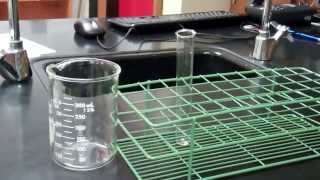 Cell Membrane Permeability Lab [upl. by Farrow]