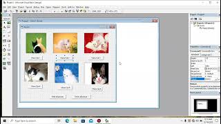 How to add multiple picturebox in Visual Basic [upl. by Judye493]