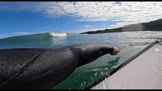 Punakaiki River Mouth session w dolphins [upl. by Sixla990]