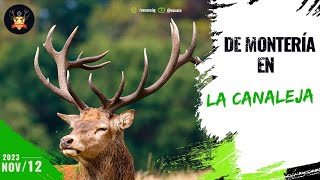 Montería en La Canaleja Extremadura 🐗🦌 [upl. by Larkins314]