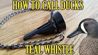 The Teal Whistle  How To Call Ducks [upl. by Aihsyla682]