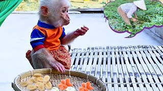 Baby Monkey Bi’s Independence Caring for Himself After Waking Up Without Grandma [upl. by Oppen]