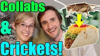 COLLAB With Clints Reptiles We Eat Cricket Tacos [upl. by Ahtanoj213]