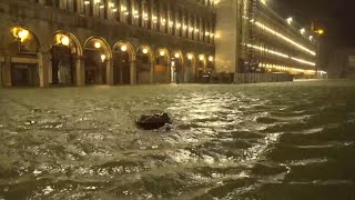 Maltempo acqua alta storica a Venezia Piazza San Marco sferzata da venti tempestosi [upl. by Ardolino]