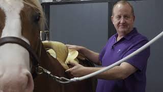 HOW TO FIT A SADDLE TO A HORSES BACK PROPERLY [upl. by Goto]