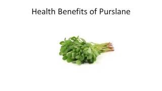 Top 10 Health Benefits and Advantages of Eating Purslane [upl. by Zaria]