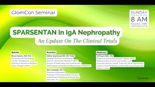 SPARSENTAN In IgA Nephropathy An Update On The Clinical Trials [upl. by Egoreg]