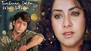 Tumhein Dekhe Meri  Rang 1993  Alka Yagnik  Kumar Sanu  P Sunanda  Sad Hindi Song [upl. by Osber993]