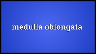 Medulla oblongata Meaning [upl. by Asilec]