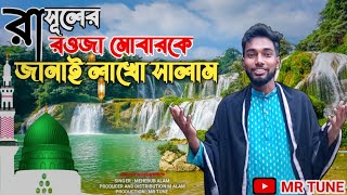 রাসূলের রওযা মোবারকে জানাই লাখো সালাম  Rasuler Rauja Mubaroke  Mehebub Alam  Mr Tune [upl. by Edithe]