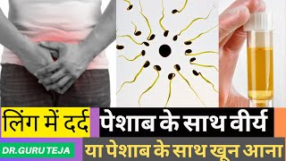 Dysuriaपेशाब के साथ वीर्य निकालना पेनिस में जलन या दर्द urine blood uti problem DrGuru Teja [upl. by Auqinet]