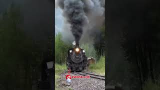 centovalli train centovalli train videos shorts viralvideo centovallitrain [upl. by Chellman]