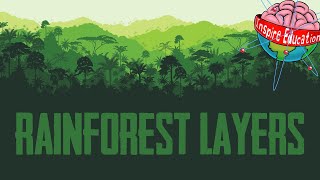 The 4 Layers of the Rainforest [upl. by Ydnew]