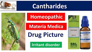 Cantharis Homeopathic medicine  Drug Picture  Materia Medica bhms materiamedica cantharis [upl. by Edwin]