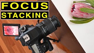 How to FOCUS STACK for amazingly sharp landscape macro or product photos [upl. by Kalk]