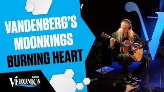 MOONKINGS  BURNING HEART  Live in de Ochtendshow van Veronica [upl. by Flori]