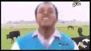 Alemayehu W Mariam  Saawwan Oromo Music [upl. by Portie]