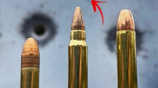 22LR vs 17 HMR vs 22 MAG Never Would’ve Guessed [upl. by Deuno863]