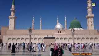 Saudi Arabia Travel Masjid Nabawi Walk in amp Out [upl. by Naneik]