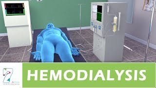 Hemodialysis [upl. by Nylirej732]