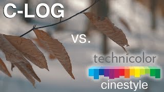 Canon 80D Picture Profiles  Technicolor Cinestyle vs Canon CLog [upl. by Laud425]