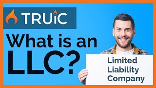 What is an LLC   Limited Liability Company [upl. by Ecissej]