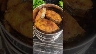 Todays lunch box  vanjaram fishfry fish kulambu dragon fruit ytshorts viralvideo trending [upl. by Corry]