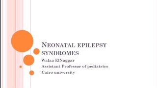 Neonatal Epilepsy Syndromes Prof Walaa Elnaggar Assistant Professor of Pediatrics Cairo University [upl. by Pomona]