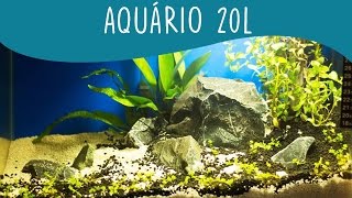 Como montar um aquário de 20l  Remontagem Aquapaisagismo [upl. by Boff]