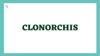 Clonorchis sinensis  Liver Fluke  Clonorchis Morphology Life Cycle Diagnosis amp Treatment [upl. by Ylrebnik]