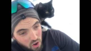 Sledding with my cat [upl. by Hubsher679]