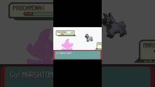 Marshtomp is trying to learn Foresight  marshtomp pokemonemerald shorts [upl. by Eugenius]