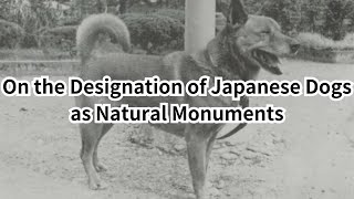 On the Designation of Japanese Dogs as Natural Monuments by Kyono Hyoemon [upl. by Otero992]