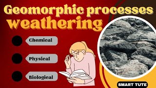 Weathering  Chemical Physical and Biological Weathering  Class 11 Chapter 6 Geomorphic Processes [upl. by Etom]