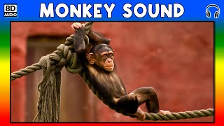 🐵 MONKEY SOUND  MONKEY SOUND EFFECT  SOUND OF MONKEY  NOISE OF MONKEY [upl. by Hadihsar544]