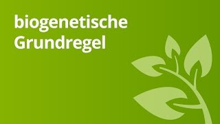 Überblick über die biogenetische Grundregel  Biologie  Genetik [upl. by Annairol]