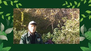 Herfstwandeling bos  bostuin technieken  ecologische moestuin [upl. by Eiderf]