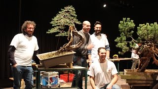 How to style a Pine Bonsai by Mauro Stemberger [upl. by Nereus]