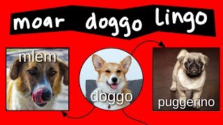 Doggo Chart  Part 2 [upl. by Zenas]