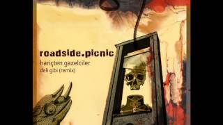 Hariçten Gazelciler  Deli Gibi roadside​​picnic remix [upl. by Cassandry]