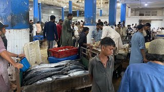 Karachi Fisheries 3pm Hayla Market 2 Nov Updates  HD [upl. by Morganne295]