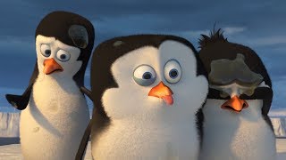 DreamWorks Madagascar em Português  Os Pinguins Compilação  Desenhos Animados [upl. by Ysdnyl960]