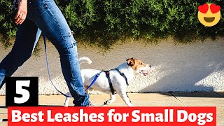 5 Best Dog Leashes for Small Dog Breeds [upl. by Aisined]