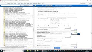 Comprehensive Problem 1 Entering Itemized Deductions [upl. by Rexanna]