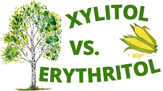 Xylitol vs Erythritol Which is the better sugarfree sweetener [upl. by Bellamy]