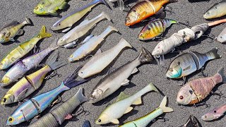 Swimbait Fishing Seminar For Beginners And Advanced Anglers Raw and Uncut [upl. by Allertse]