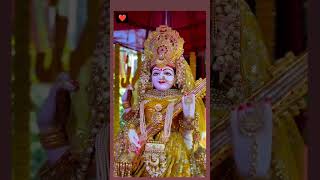 jaimatadi  navratribhajan viralvideo devotionalsong [upl. by Amy]