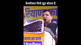 Sanjay Singh said that Kejriwal only tells lies sanjaysingh arvindkejriwal shortvideo [upl. by Nabru886]