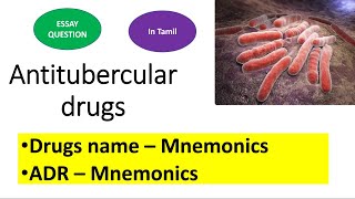 Tuberculosis pharmacologyantitubercular drugsclassification mnemonicsADR mnemonicstamil [upl. by Angadreme128]