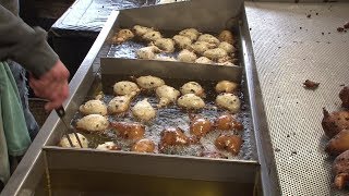 Oliebollen bakken stopt na 10 jaar [upl. by Olag]